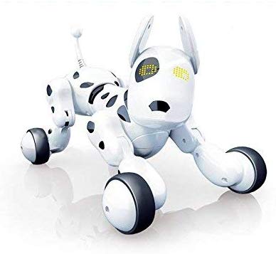 Robots juguete control remoto